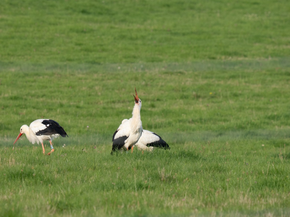 02102025-03 10 25 (18).jpg